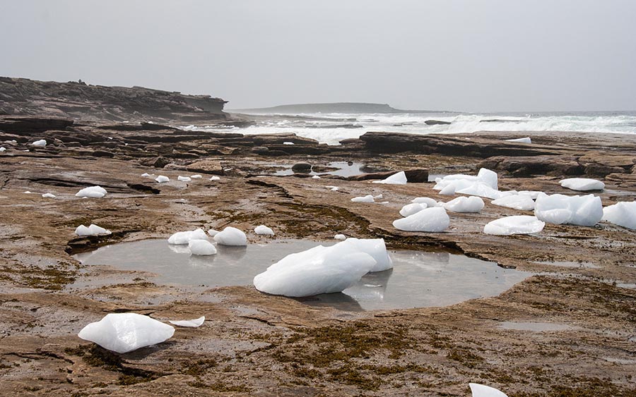 Bergie Bits Washed up on Shore at Blanc Sablon